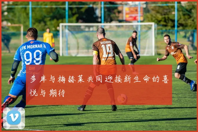 多库与梅赫莱共同迎接新生命的喜悦与期待